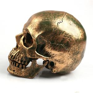 Calavera de resina decorativa dorada, vista lateral